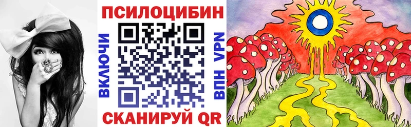 Псилоцибиновые грибы мицелий  где найти наркотики  Дмитриев 